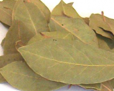 Indian Bay Leaf, Malabar leaf,