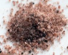 Black Salt