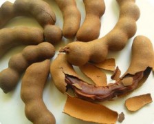 Tamarind