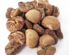 Areca nut, Betel nut