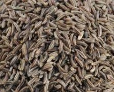 Cumin seed