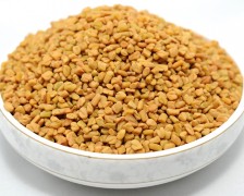 Fenugreek