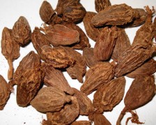 Greater Cardamom, Black Cardamom, Nepal Cardamom